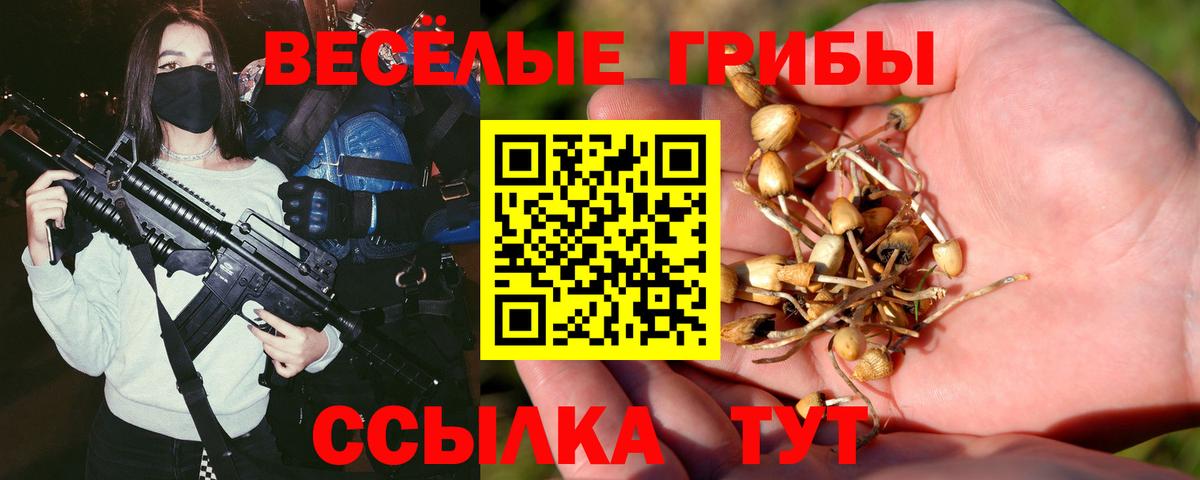 Ейск  Галлюциногенные грибы мицелий  Вход с VPN  Псилоцибиновые грибы GOLDEN TEACHER 